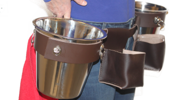 Oestergordel / Champagne riem